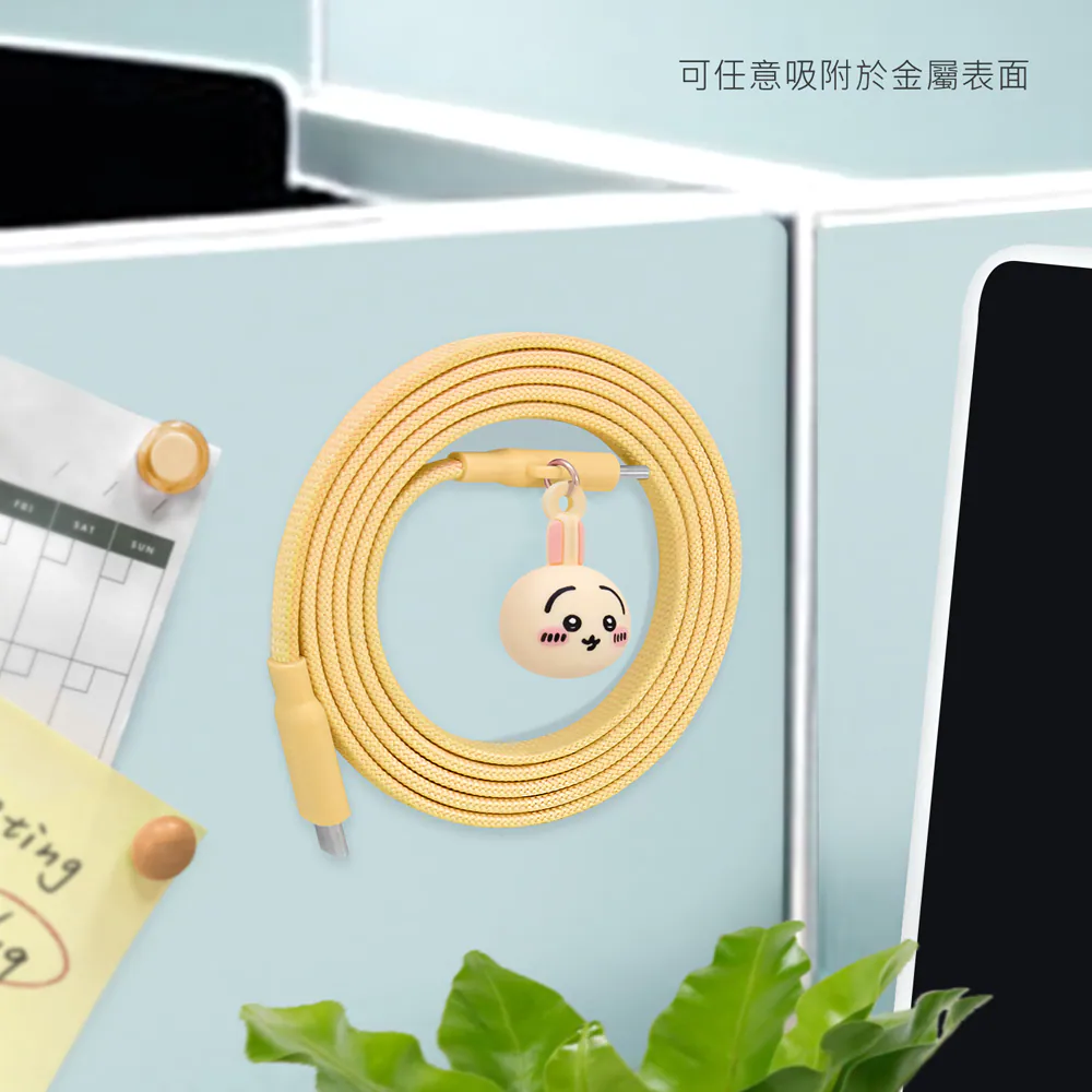 Chiikawa | Taiwan Garmma | Type-C to Type-C Magnetic Charging Cable